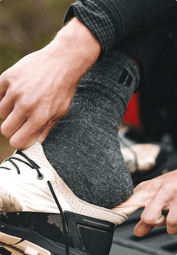 Everyday Crew Socks