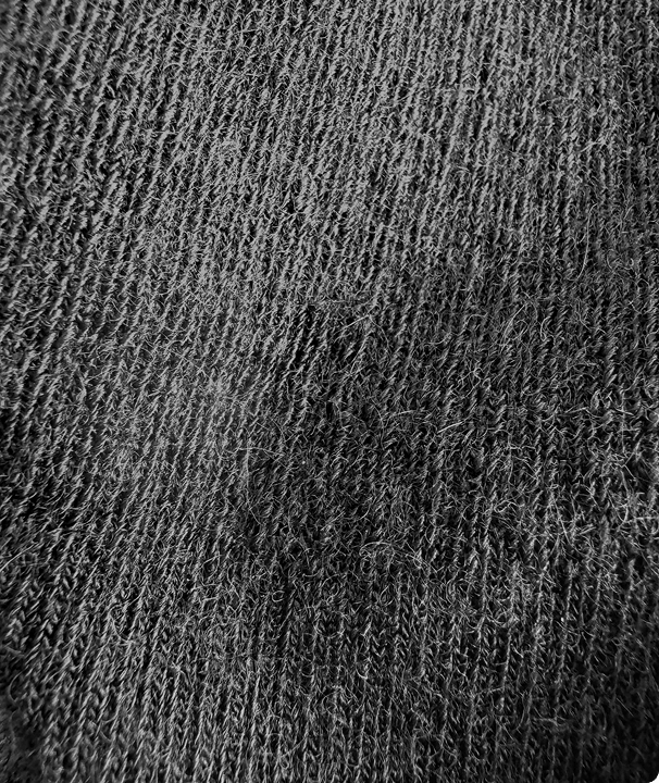 Everyday No-Show Socks